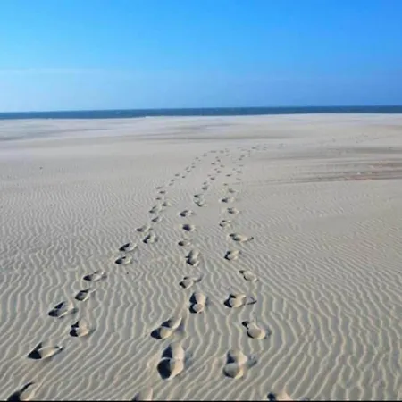 Near Sandy Beaches, Cleaning Included Nieuwpoort