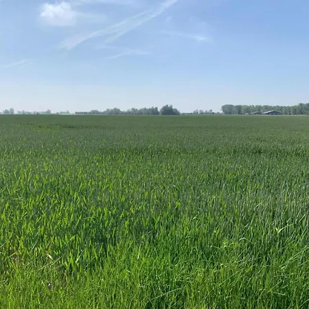 Near Sandy Beaches, Cleaning Included Apartment Nieuwpoort